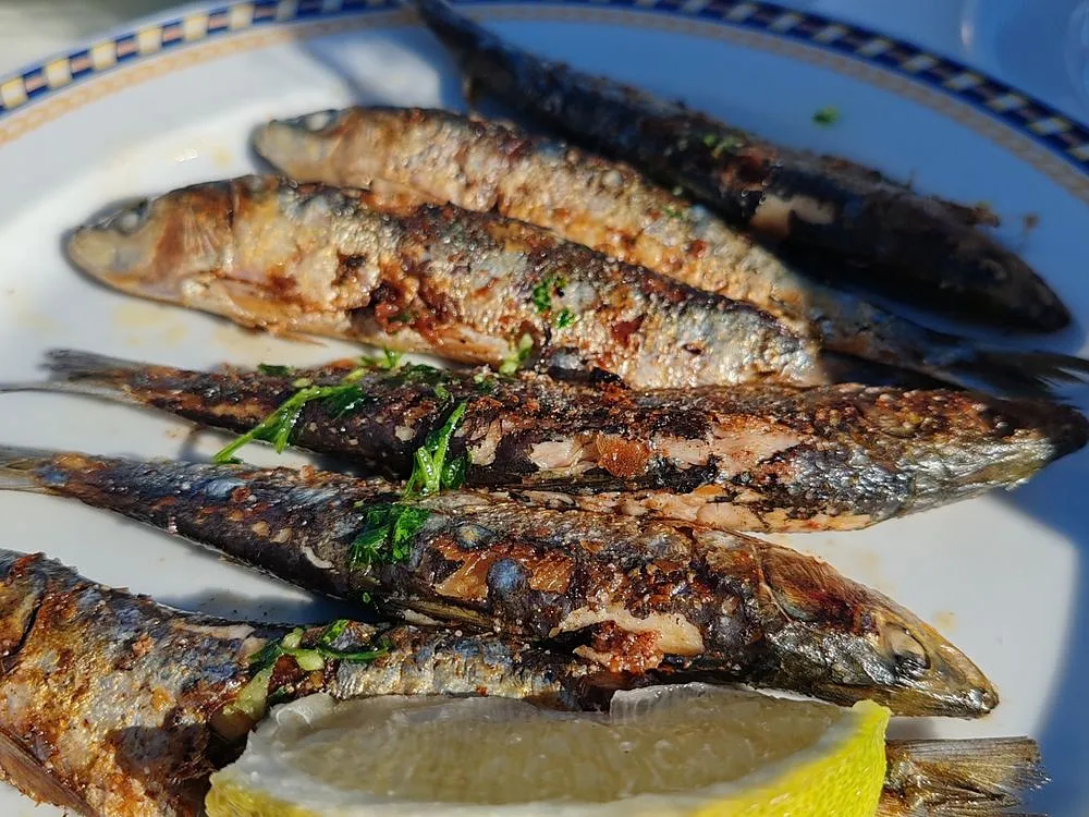 Sardinhas assadas
